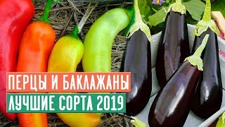 ТОП ПЕРЦЕВ и БАКЛАЖАНОВ 2019 ? Обзор сортов / Садовый гид