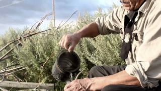 de CARREROS y CATANGUEROS EN PATAGONIA "YUGO"
