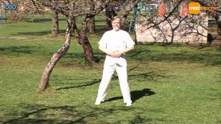 Солнечный Цигун - Sunny Qigong - Saulains Ciguns