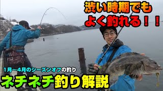 【三陸ロックフィッシュ】3・4月の低活性時の堤防でも釣れる！アイナメの釣り方「ネチネチ釣法」