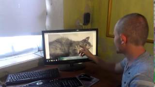 Гений видеомонтажа - кот из монитора