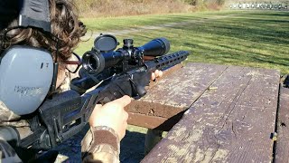 RUGER PRECISION 22 WMR 100 YARDS