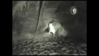 Kanuumatk - Salatsi koopad. На каноэ к пещерам Салаца