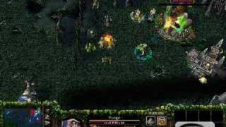 Dota Bug: Aegis or Leoric Ult Effect