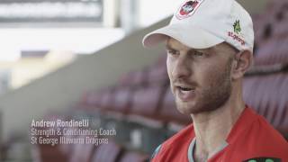 St. George Illawarra Dragons NRL team