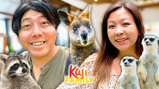 MEERKAT CAFE! Mommy and Daddy Feed Exotic Animals!
