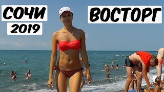 АДЛЕР (СОЧИ) 2019. ПЛЯЖ ЧАЙКА. МОРЕ. СТОЛОВАЯ. Первые впечатления Наташи. О животных.