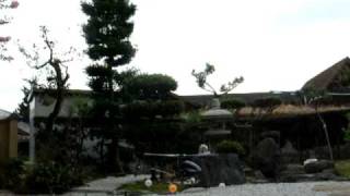 8/23/09 モーター換装　メタルパーツ　テスト T-REX250 RCヘリ ALIGN