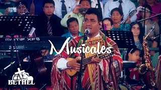 PRONTO REGRESARÁ - CANTO Y FORTALEZA  I BETHEL TELEVISION