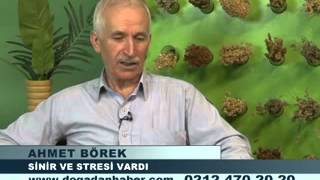 AHMET BÖREK SİNİR STRES~1