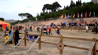 Final 4 vs 4 Liga Nacional de Combate Medieval