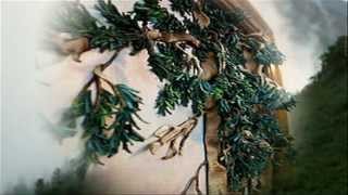 Объёмные картины из кожи.