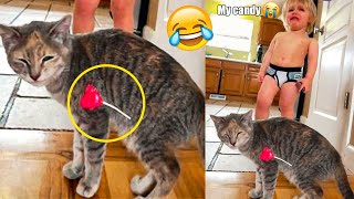 Funniest Cats And Dogs - Best Funny Animal Videos 2022 ????