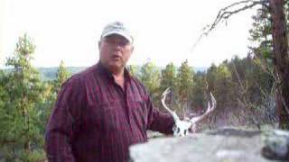 Whitetail Buck Deer Skull found in the Bearlodge Mtns. #2