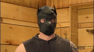 How to Be A Gay Pup - Role Play Kink