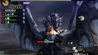 【MH4G実況】 友達とモンハン4G　vsリオレウス希少種 Part84