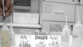 iodine clock: concentration of KI