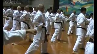 Shorin ryu Seibukan Karate