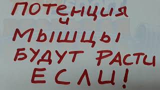 ПОТЕНЦИЯ И МЫШЦЫ БУДУТ РАСТИ ОЧЕНЬ СИЛЬНО. ТОП 5 ЛУЧШИХ ПРОДУКТОВ ДЛЯ ВЫРАБОТКИ ТЕСТОСТЕРОНА ДОМА.
