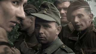 German army response 7 June 1944