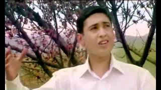 Grigor Hovhannisyan - Siro aygi / Գրիգոր Հովհաննիսյան - Սիրո այգի