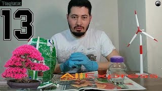 AliExpress Alışverişim #13 Bonsai Ağaç tohumu ektim.