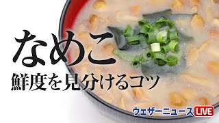 なめこ　鮮度を見分けるコツ