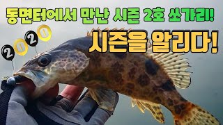 시즌을알리다!! 그동안의 추리와 추적의 끝에 드디어 동면터에서 쏘가리를 만나다!!