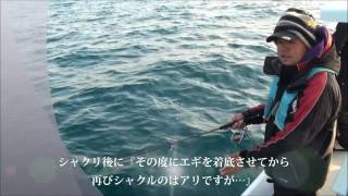 ティップランエギング講座『着底させないシャクリの連続は...』