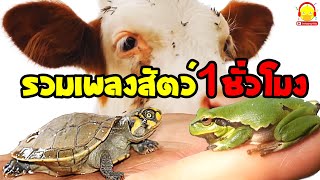 รวมเพลงสัตว์ตัวเป็นๆ สัตว์โลกตัวจริง 1 ชั่วโมง กไก่ เต่า วัว จับปูดำ
