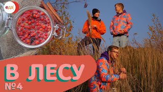 Когда горят костры рябин — надо делать варенье! В лесу