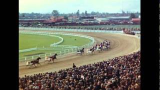 New Zealand Trotting (1953) 2K DI restoration
