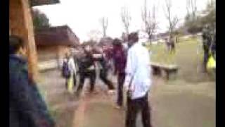 jalab vs beaner