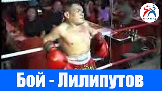 Бой карликов. Приколы. Юмор