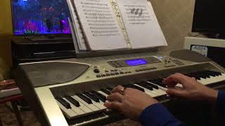 Синтезатор Casio CTK-900 'Мы с тобой одной крови' Денис майданов