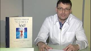 Гематология: что это ?