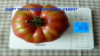 Сорт томатов Бабушкин секрет