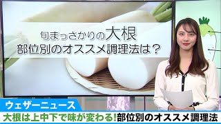 大根は上中下で味が変わる！ 部位別のオススメ調理法は？
