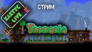 Terraria + Mods Фарм пчелок (Калаймити и Ториум) на 100 зрителей Terraria в подарок