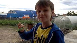 spinner super speed
