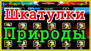 Хроники Хаоса открываю 156 Шкатулок Природы конец Сезона Природы