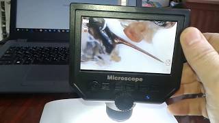 Микроскоп для Пчеломаток ИО - под электронным usb микроскопом фото и видео