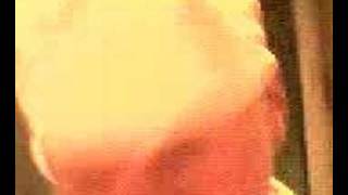 titty knickers bum bandit
