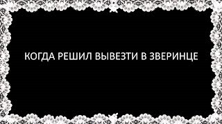 КОГДА РЕШИЛ ВЫВЕЗТИ БОИ В ЗВЕРИНЦЕ#PERFECTWORLD