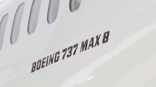 Indonesia releases results for cause of Boeing 737 MAX jet crash