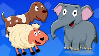 животных Звуковая песня | Детские рифмы | узнать животных | Rhyme For Kids | Animal Sound Song