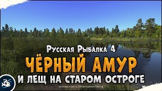 Амур на оз. Медвежье • Лещ на оз. Старый Острог •  Русская Рыбалка 4