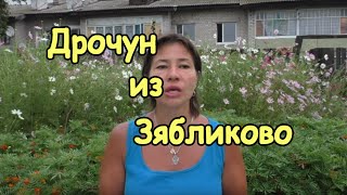 Дрочун из Зябликово