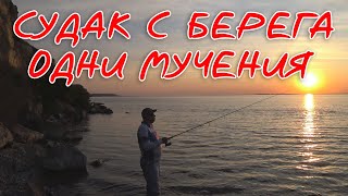 Ловля Судака с Берега (Рыбалка 2019) | vovabeer