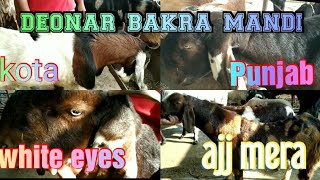 Deonar bakra mandi | Punjab & kota | aaj mera | sunday update) 12 jan 2020